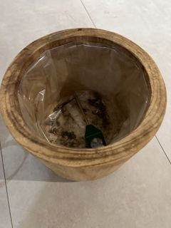 Le Flower Watering Can and Wooden Planter Pot