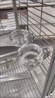 Magnetic Bird Food/Water Bowl