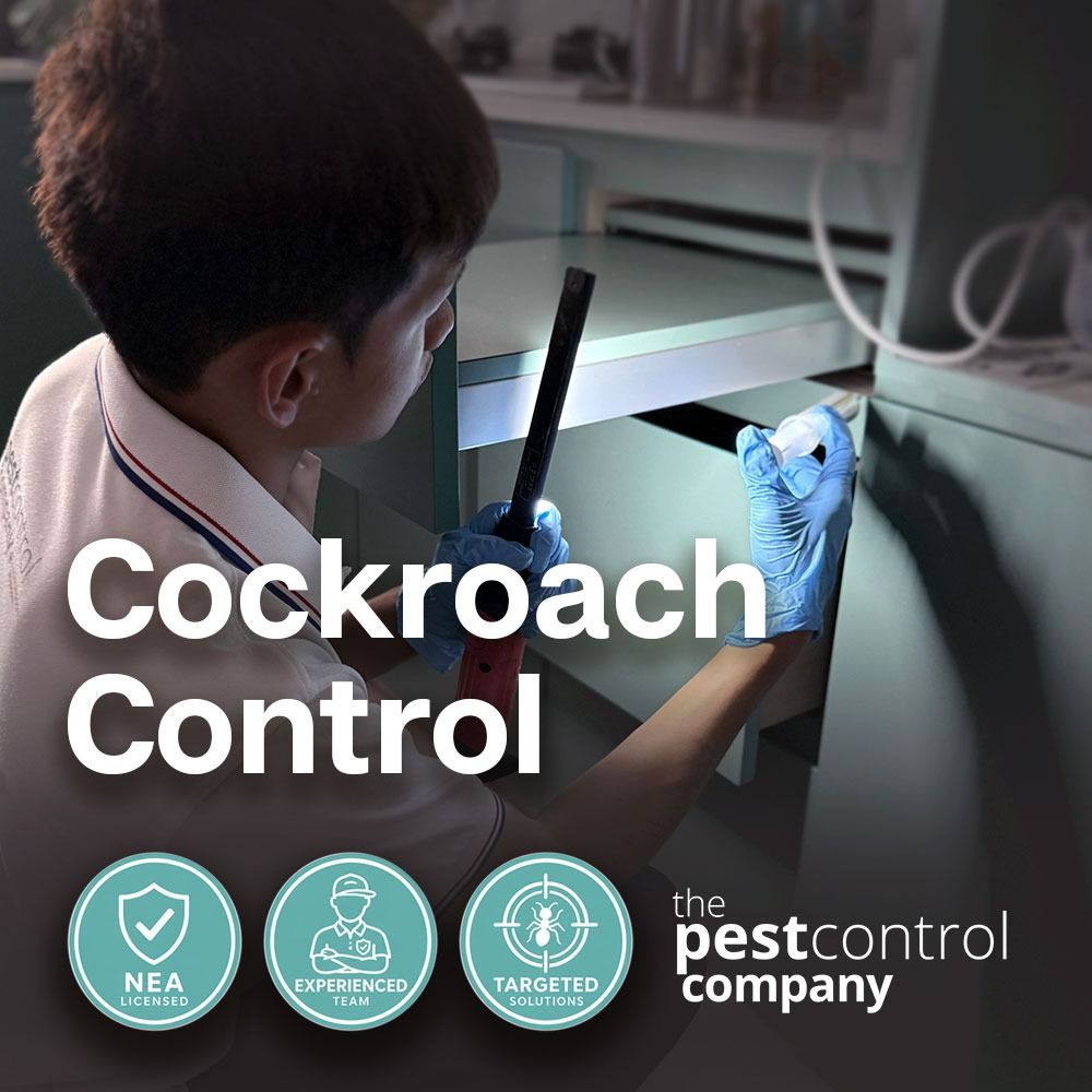 Pest Control Services | Cockroach Control (Free Inspection) (Category: Pest Control Services) located in Singapore. Submitted by wicleansoon (Listing ID 1430672880, Image 1). Description: 🛡️ Pest Control Services in Singapore | Fast, Safe & Effective Looking for reliable pest control in Singapore? At The Pest Control Company, we provide professional pest management solutions to keep your home and business pest-free. 🐜 Our Pest Control Services 