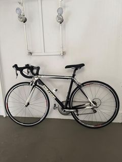 Polygon Road Bike