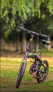 xbs Foldable Bicycle - Purple black