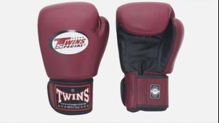 Twins boxing gloves