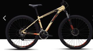 Polygon Mountain Bike - Beige/Orange