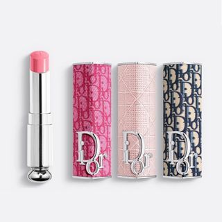 Dior addict lipstick case