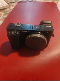 Sony Alpha a6100 (Low shutter count 8k+)