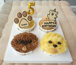  Dog Face & Paw Print Birthday Cupcakes