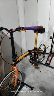 Custom Foldable Bicycle