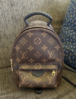 Louis Vuitton Monogram Palm Spring Mini Backpack